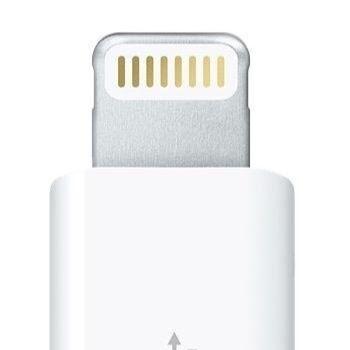 USB-C & Lightning Adapter (1 Pack) – USB-C to USB 3.0 / Lightning to USB-C Compatible with MacBook, Mac Mini, MacBook Air, Dell XPS & More Type-C Devices