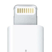 USB-C & Lightning 2-in-1 OTG Adapter