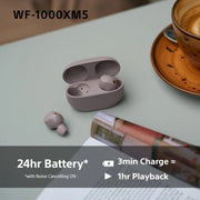 Sony WF-1000XM5 Wireless Noise Cancelling Earbuds