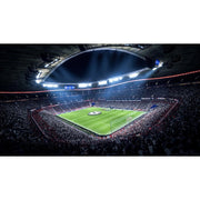 FIFA 19 PS4 Football Game