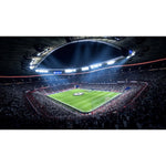 FIFA 19 PS4 Football Game